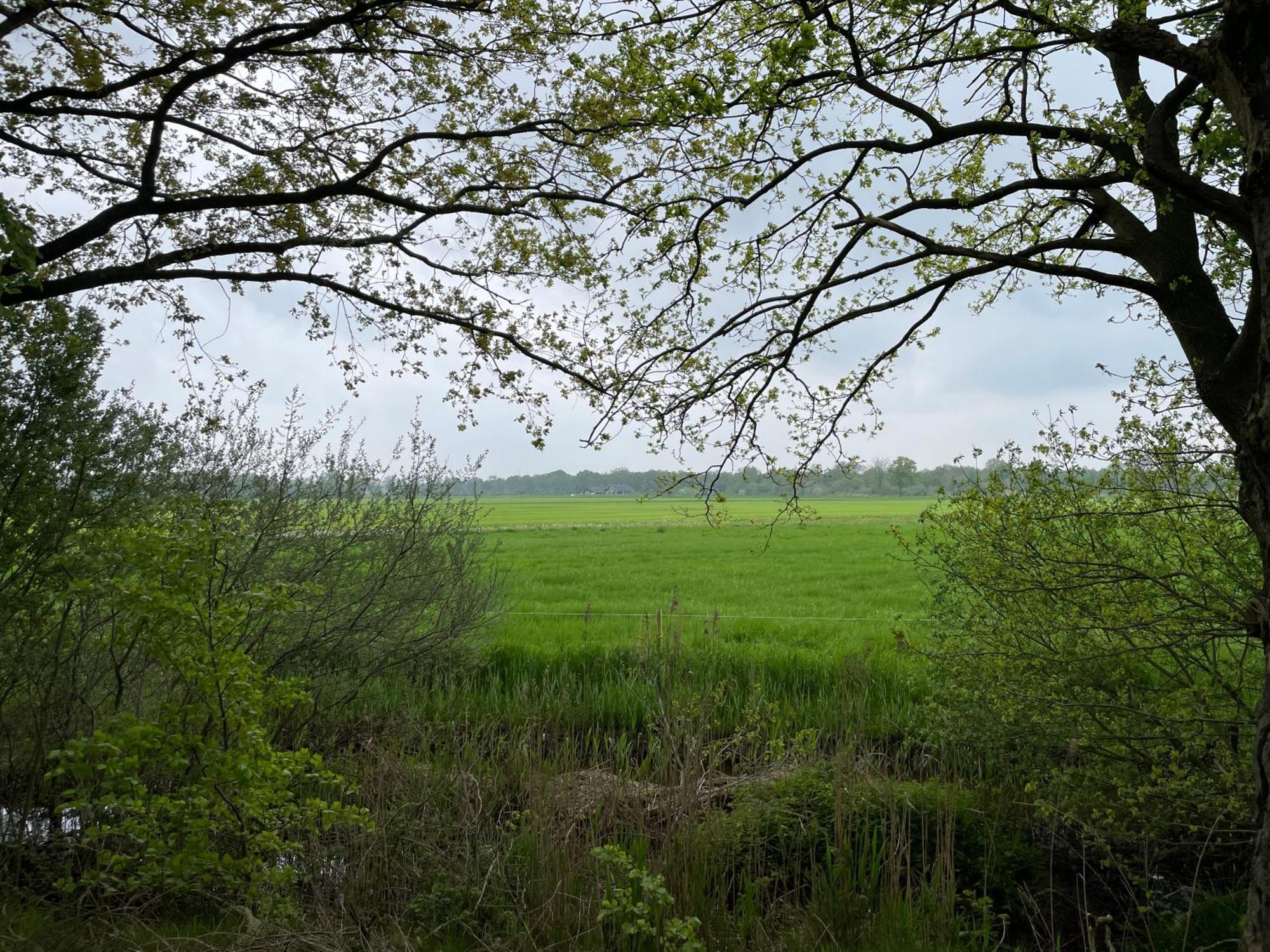 Het Riethuis Holthone Extérieur photo